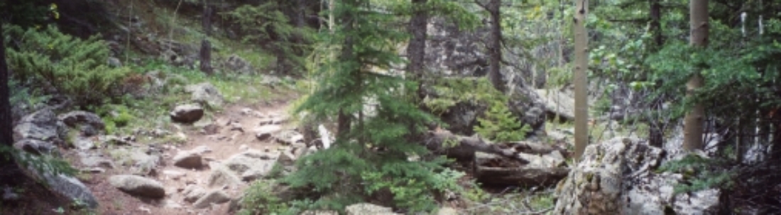2003 Poudre Canyon path large